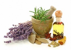 herbal remedies for pets