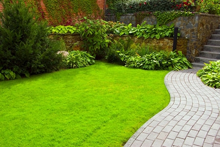 3 Ways to Maintain a Healthy Lawn
